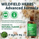 stinging-nettle-leaf-extract-drops-2000m-6.jpg