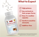 andrew-lessman-vitamin-d3-5000-iu-720-ca-4.jpg