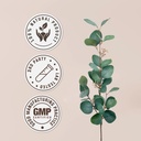 rhodiola-usda-organic-alcohol-free-extra-4.jpg