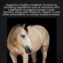 mvp-d-carb-balance-10lb-supports-glucose-2.jpg