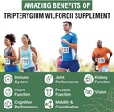 1200-mg-thunder-god-vine-root-extract-20-5.jpg