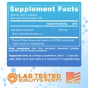 epicatechin-extract-capsules-epi-250mg-1-2.jpg