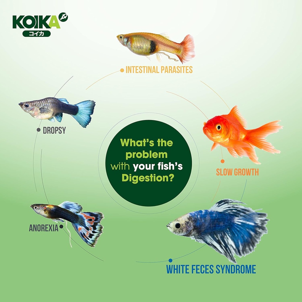 koika-bac-aquarium-probiotics-immunity-b-2.jpg