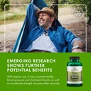 swanson-full-spectrum-ginger-root-540-mg-6.jpg
