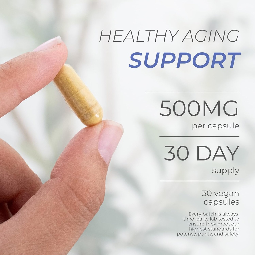 neurogan-fisetin-supplement-500mg---30-c-3.jpg