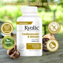 worldwide-nutrition-bundle-compatible-wi-6.jpg