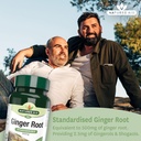 natures-aid-ginger-500mg-2.jpg
