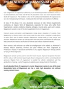 magnesium-lactate-500-mg-120-easy-to-swa-3.jpg