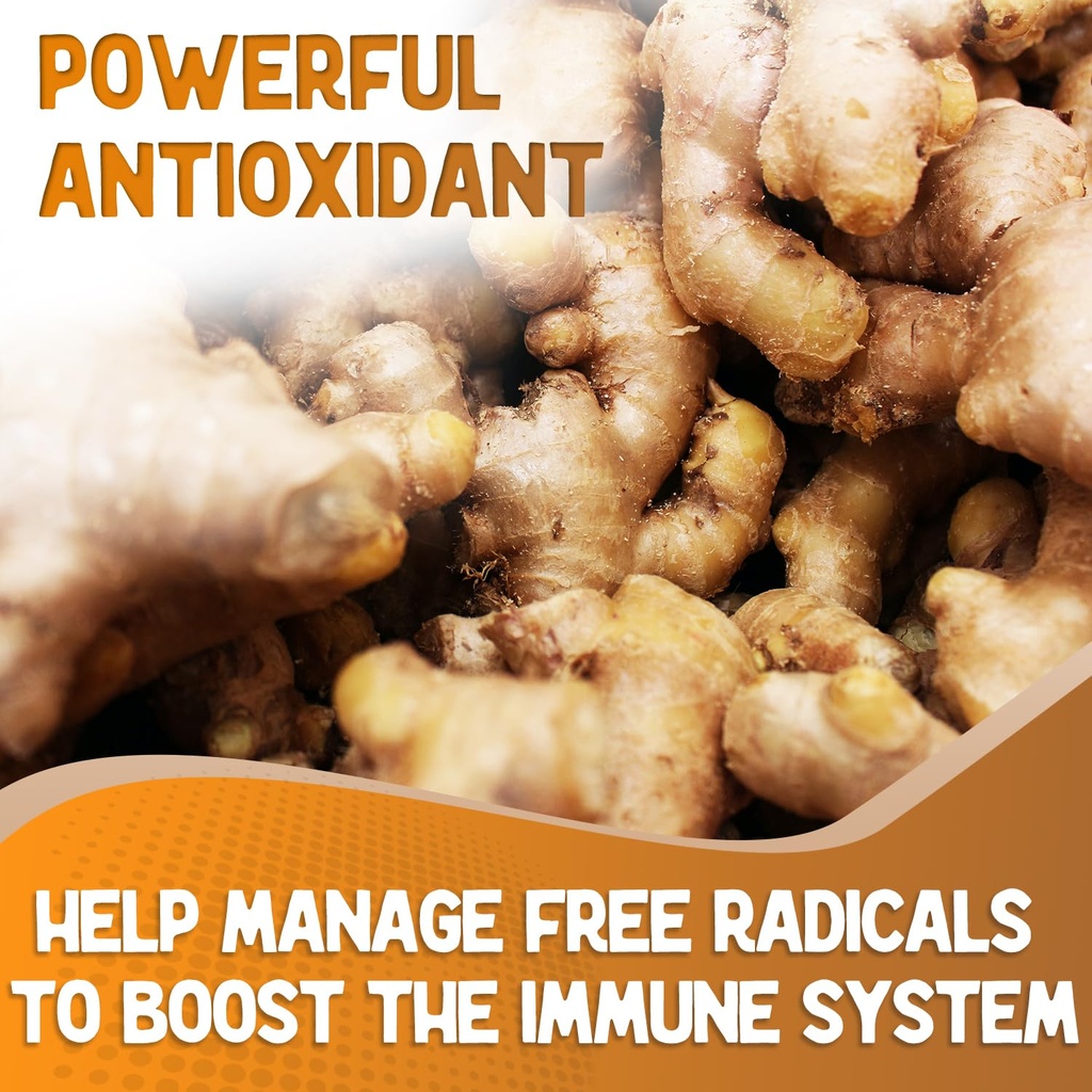 xprs-nutra-ginger-powder---premium-groun-3.jpg