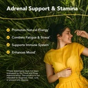 north-american-herb-spice-ashadrene-caps-2.jpg