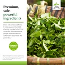 terry-naturally-gmt23-greek-mountain-tea-5.jpg