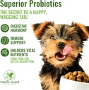 probiotics-paste-for-dogs-prebiotic-for--4.jpg