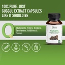 bixa-botanical-guggul-extract-450mg-comm-5.jpg