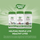 natures-way-red-clover-blossom-herb-trad-6.jpg
