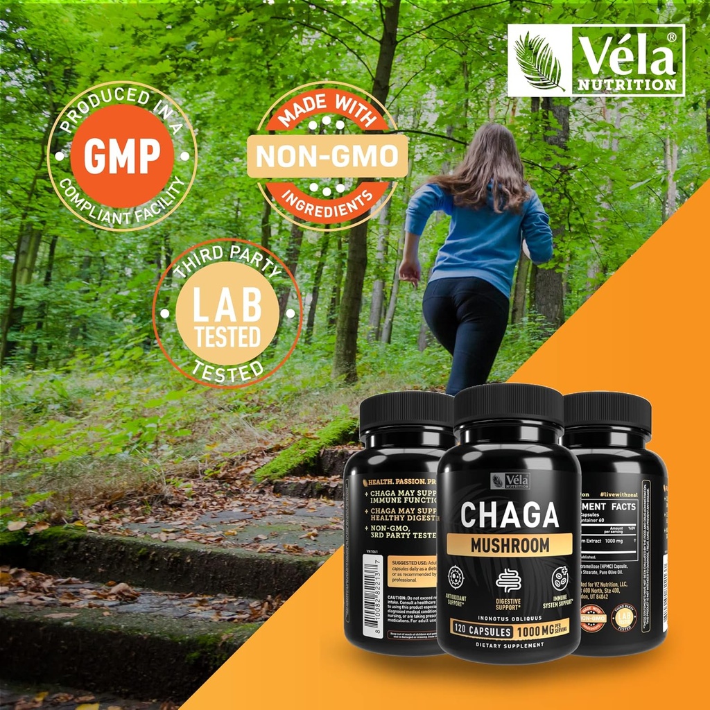 velas-chaga-mushroom-supplement-mushroom-5.jpg