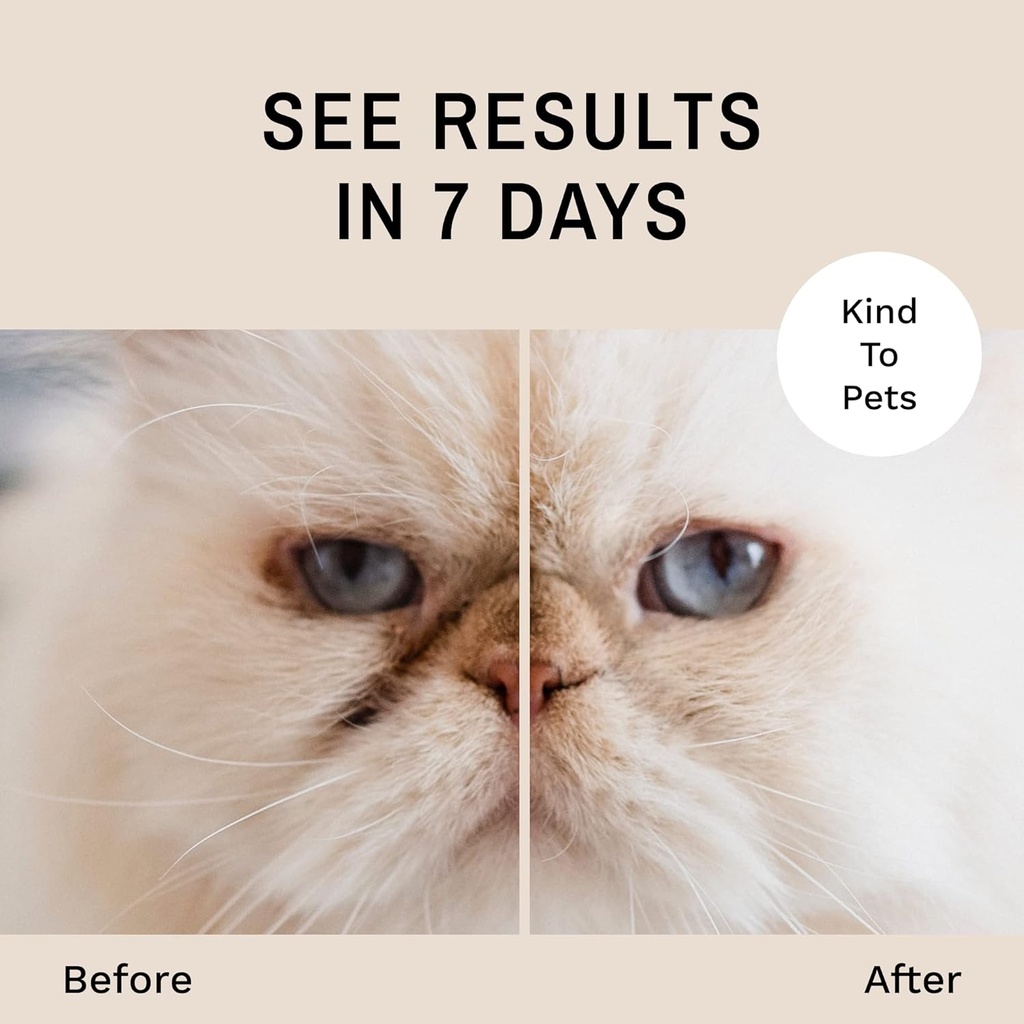 eye-envy-tear-stain-remover-powder-for-d-3.jpg