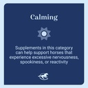 smart-simple-raspberry-leaf-horse-moody--4.jpg