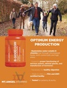 mt-angel-vitamins---b-good-com-vitamin-b-2.jpg