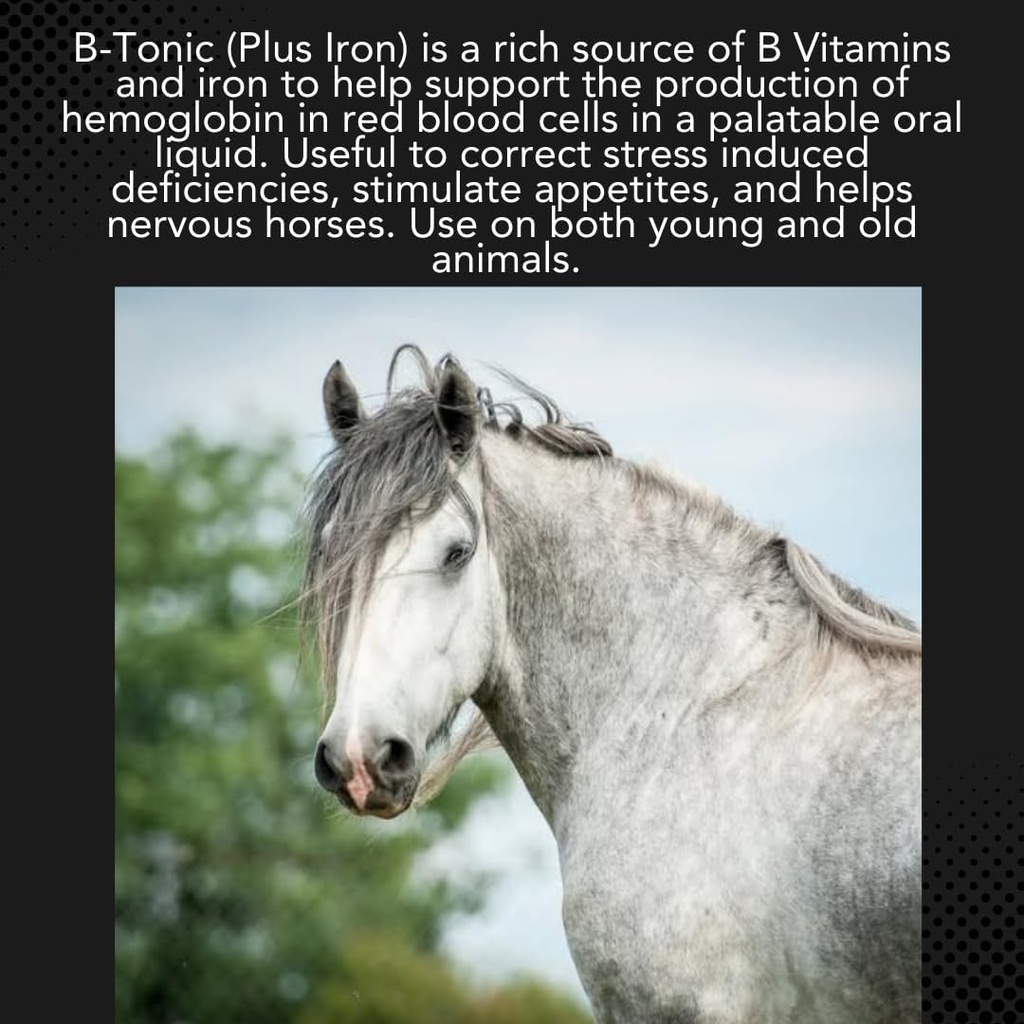 mvp-b-tonic-b-vitamins-iron-supplement-f-3.jpg