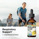 bio-krauter-lung-detox-tincture-2-fl-oz--6.jpg