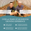 real-mushrooms-vitamin-d2-from-shiitake--6.jpg