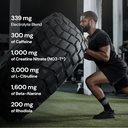 novex-biotech-pre-7-pre-workout-powder-f-2.jpg