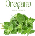 candida-support-supplement---aloe-vera-s-6.jpg