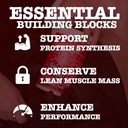amino-flood-from-frontline-formulations--4.jpg