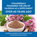 vitaminerals-33-baldrian-plus-natural-re-2.jpg