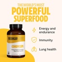 freshcap-adaptogen-bundle-reishi-capsule-3.jpg