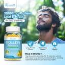 10-in-1-mullein-gummies-for-lungs-mullei-3.jpg