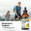 bio-krauter-lung-support-60-gummies-mull-6.jpg