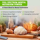 maju-superfoods-mental-mushrooms-bundle-4.jpg