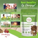 greenpeople-mushroom-powder-mushroom-sup-2.jpg