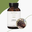 chaga-mushroom-supplement-dual-extract-p-6.jpg