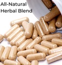 gingiphase-natural-herbal-dental-support-4.jpg