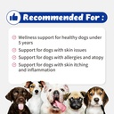 wellnessskin-support-echo-for-doggy---12-3.jpg