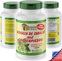 sunshine-naturals-guisazo-chancapiedra-h-5.jpg