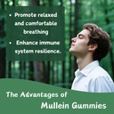 mullein-gummies-for-lungs-2000mg-mullein-5.jpg