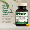 standard-process-wheat-germ-oil-fortifie-3.jpg