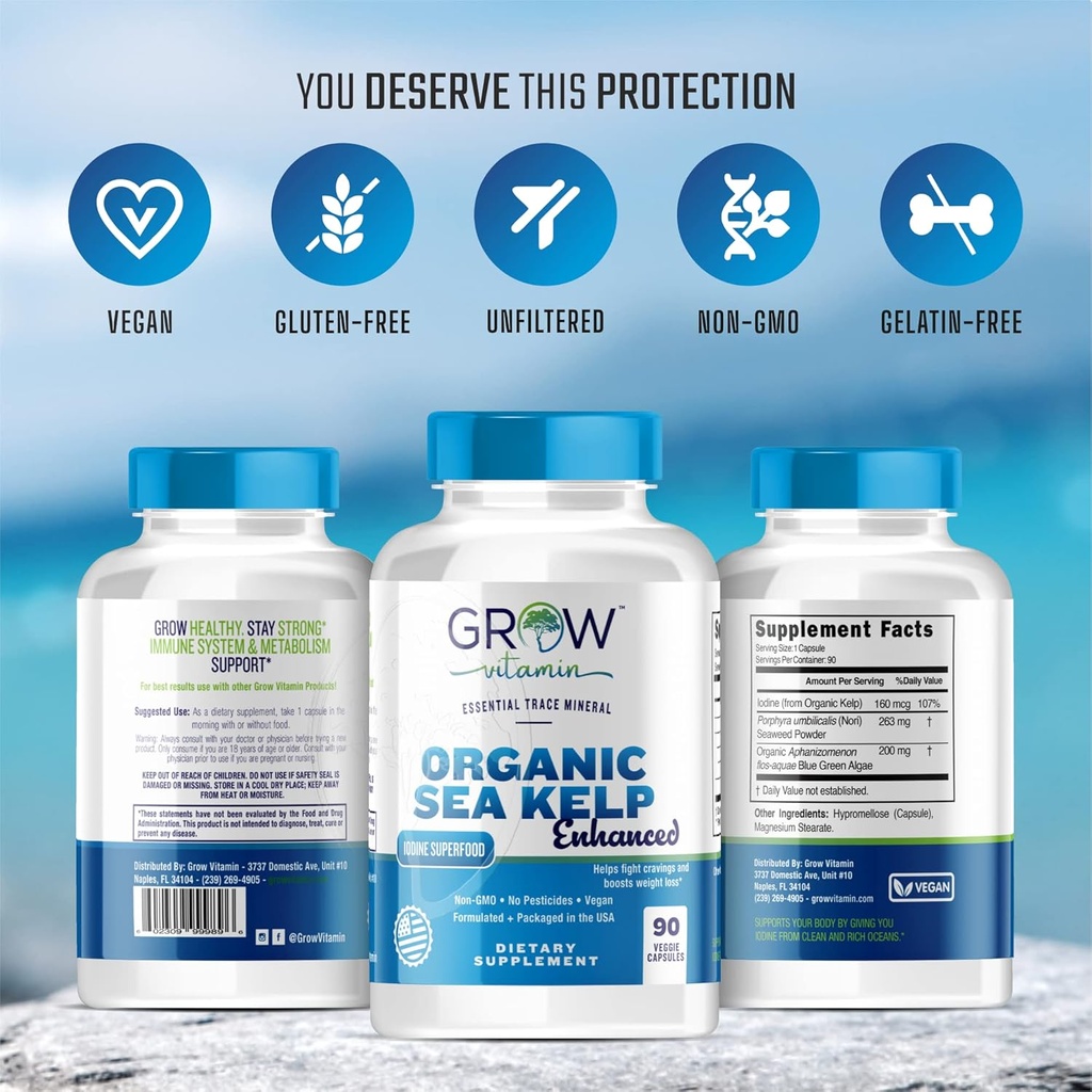 organic-sea-kelp-icelandic-enhanced---pu-4.jpg