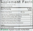 natures-answer-sambucus-syrup-extract-sp-3.jpg