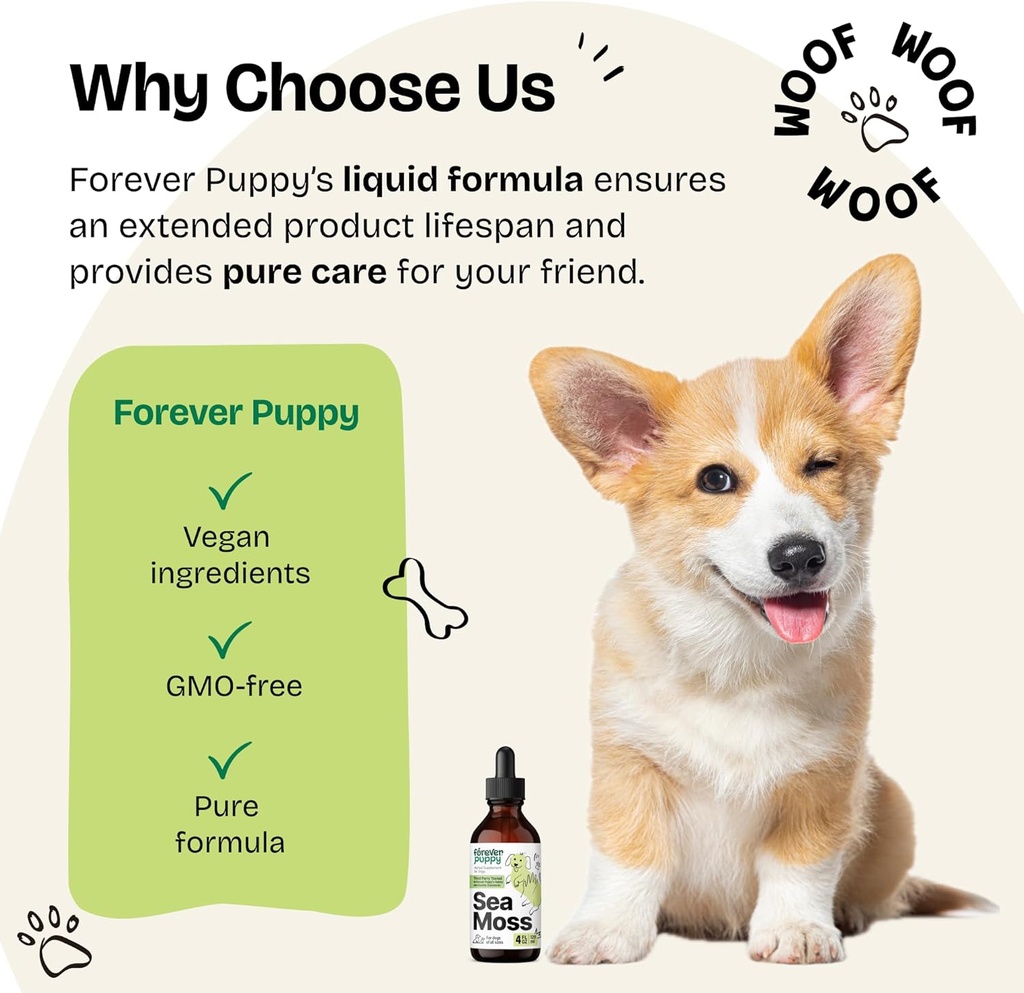 forever-puppy-irish-sea-moss-drops-for-d-6.jpg