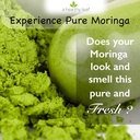 a-healthy-leaf-organic-moringa-capsules--3.jpg