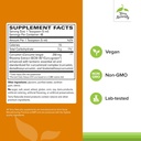 terry-naturally-curamed-syrup---brain-im-2.jpg