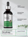 horbaach-scullcap-herb-tincture-2-fl-oz--4.jpg