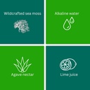 sea-moss-gel-matcha-green-tea-24oz-wildс-4.jpg