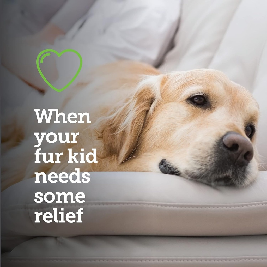 vetality-canine-aspirin-for-dogs-fast-pa-5.jpg