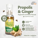 beelife-propolis-throat-spray-soothing-h-2.jpg