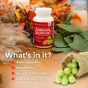 health-plus-adrenal-cleanse-ashwagandha--6.jpg